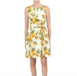 NWT Anne Klein White Yellow Lemon Print Chelsea Day Dress 8 Fit and Flare